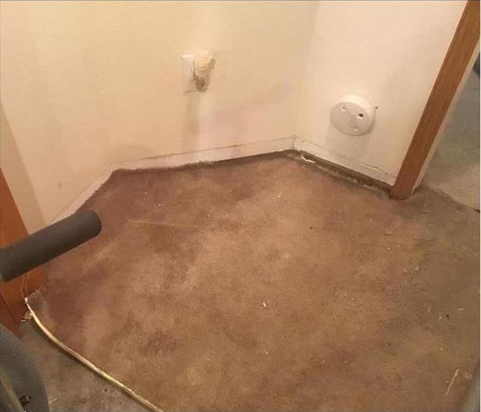 damaged carpet