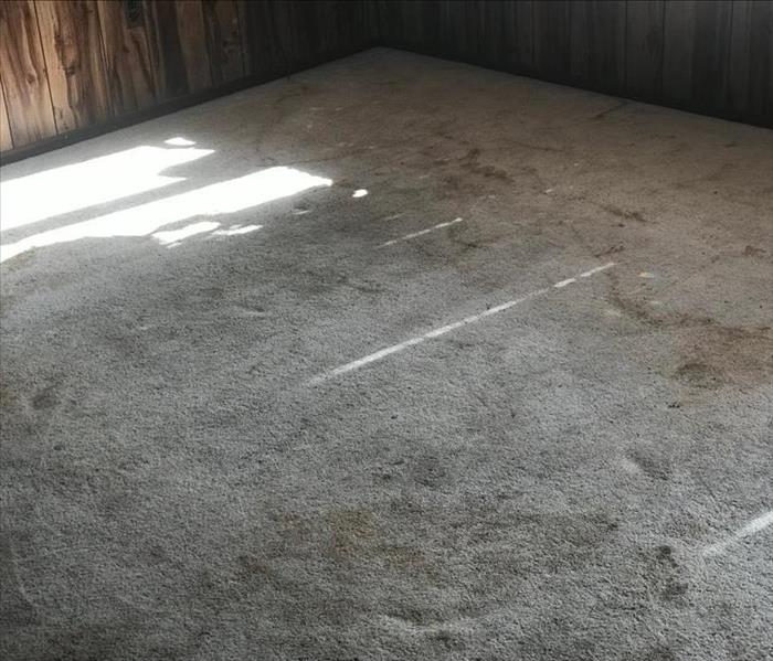 Soot and smoke damaged carpet after a fire