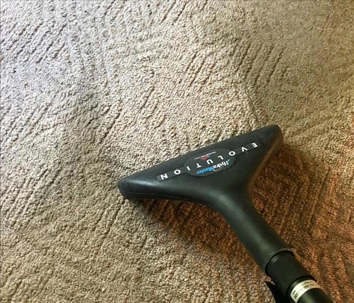 Steam cleaning a carpet in a home